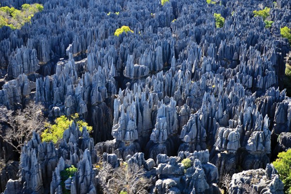 Tsingy de Bemaraha National Park - Madagascar