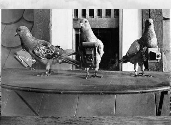 1900 Pombas usadas para tirar fotografias aéreas