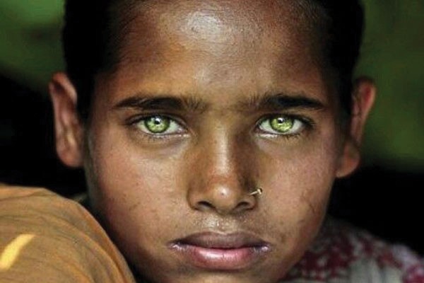 A história desses olhos verdes