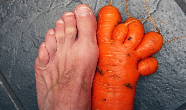 Essa cenoura que parece um pé