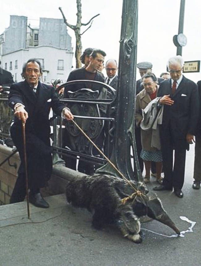 Salvador Dali e seu animal de estimação
