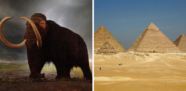 Os mamutes ainda estavam vivos quando a Grande Pirâmide de Guiza foi construida