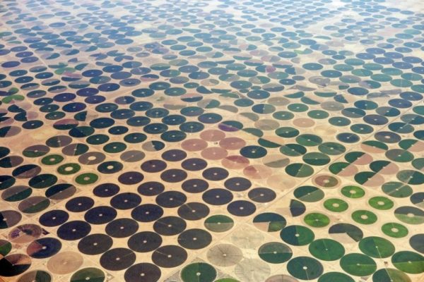 Campos de fazendeiros na Arábia Saudita
