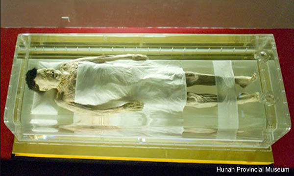O curioso caso da múmia úmida