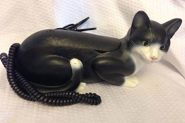 O experimento que transformou um gato em um telefone