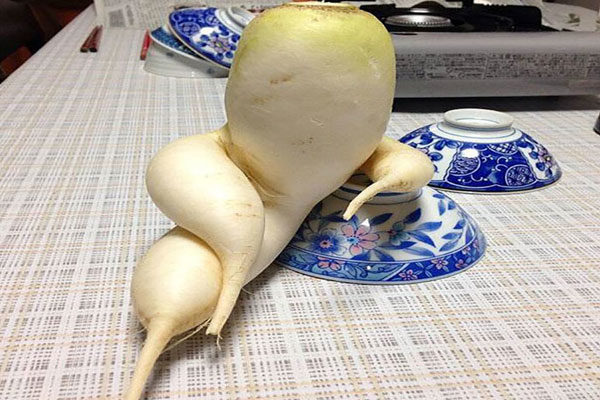 Um vegetal muito sexy